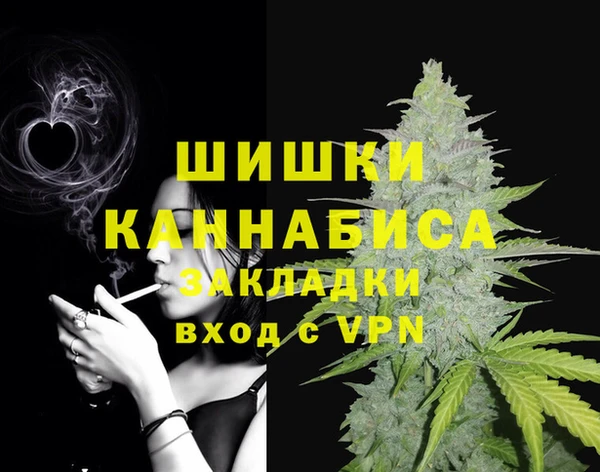 сатива Киреевск