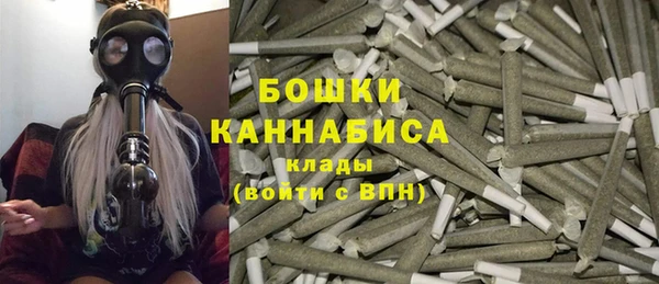 сатива Киреевск