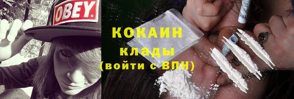 мдпв Кинешма