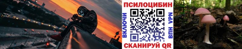 Галлюциногенные грибы Psilocybine cubensis  Купить где  Билибино 