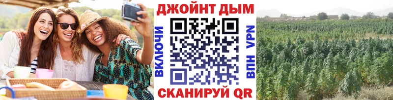 Конопля конопля  Купить закладки  Билибино 